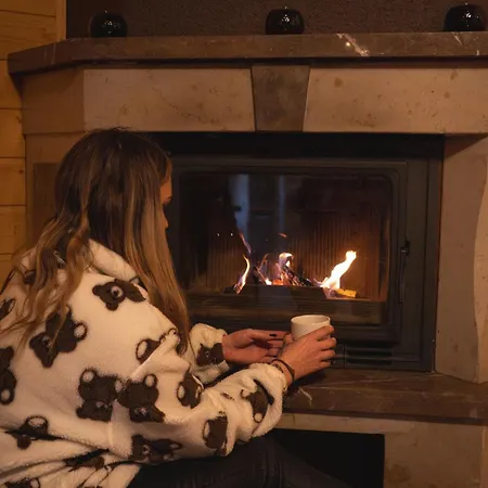 Dom wakacyjny Za Księżycem - Azyl Z Balią, Kominkiem I Prywatnym Ogrodem, Ustroń