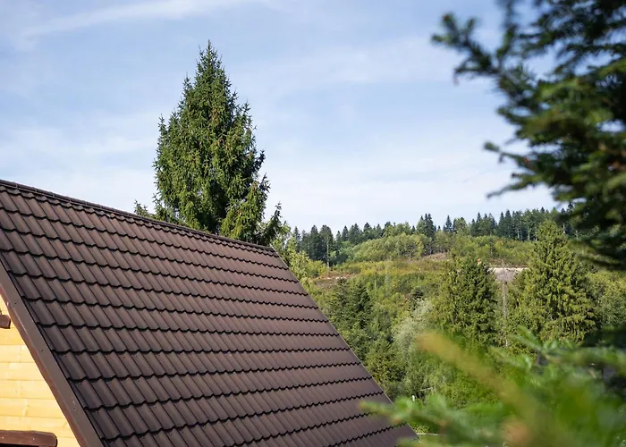 Za Ksiezycem - Azyl Z Balia, Kominkiem I Prywatnym Ogrodem, Prázdninový dům Ustroň